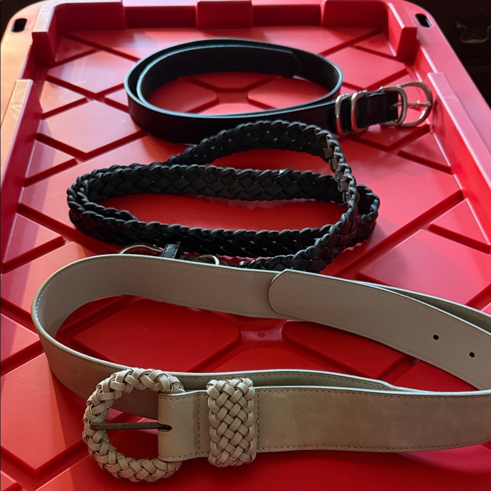 Women's Neutral and Black Fashion Belt Set - Versatile Styling